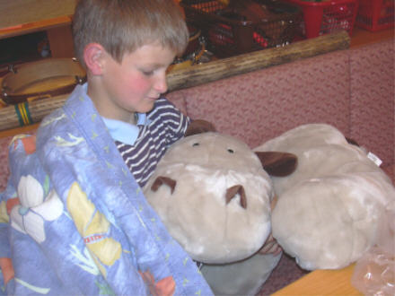 DSCN0126.JPG (27885 Byte)