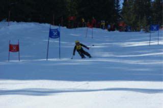 DSC00959.JPG (10667 Byte)