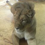 DSCN0956