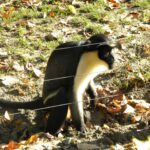 DSCN0959