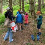 IMG-20260708-WA0033