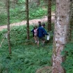 IMG-20260708-WA0041