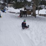 IMG_20231128_094740 IMG_20231128_094740