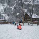 IMG_20231128_094816 IMG_20231128_094816