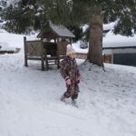 IMG_20231128_094915 IMG_20231128_094915