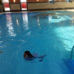 IMG_20240403_085010 IMG_20240403_085010