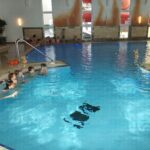 IMG_20240403_094819 IMG_20240403_094819