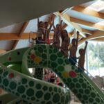 IMG_20240617_111522 IMG_20240617_111522