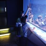 IMG_20240626_105206 IMG_20240626_105206