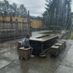 IMG_20240627_093803 IMG_20240627_093803