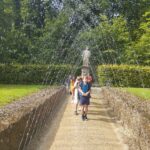 IMG_20240627_101435 IMG_20240627_101435