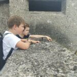 IMG_20240627_161439 IMG_20240627_161439