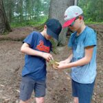 IMG_20250701_143750