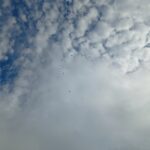 IMG_20250704_092501