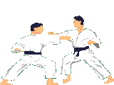 animierte-gifs-judo-002