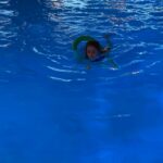 d482b1ab-1cf2-45f1-9d29-8210f774fdb9 d482b1ab-1cf2-45f1-9d29-8210f774fdb9