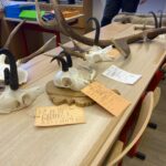 image00002 image00002