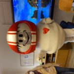 image00002 image00002