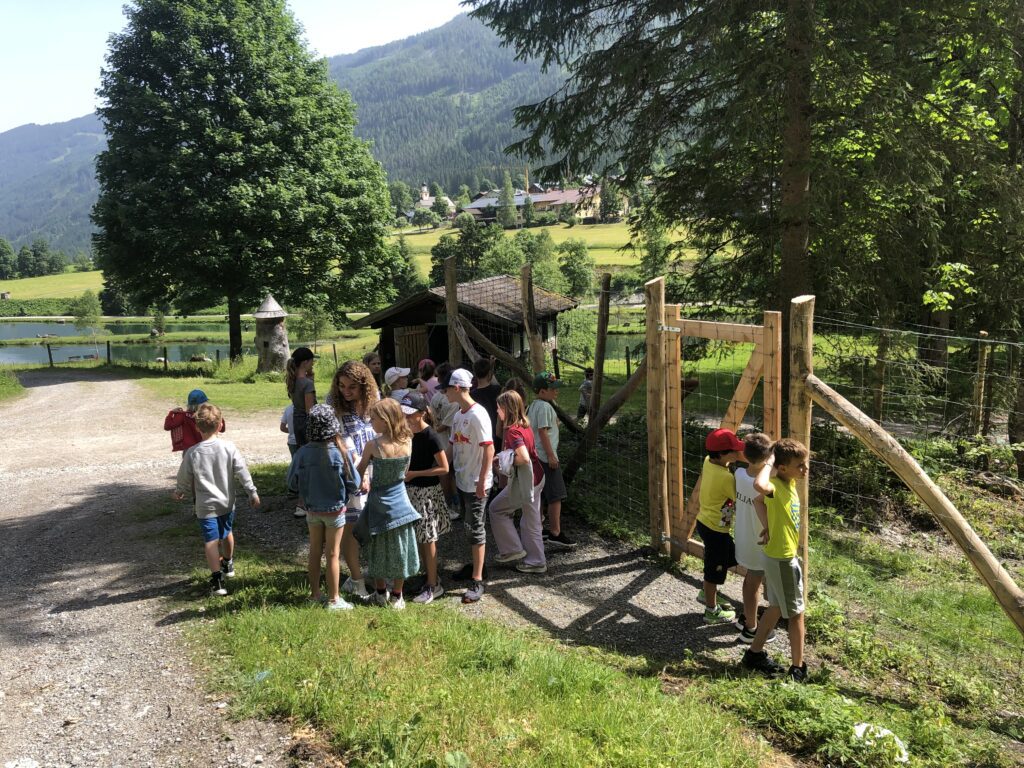 Besuch der Kängurus im Wildpark