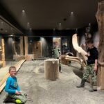 image00005 image00005