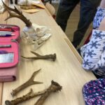 image00007 image00007